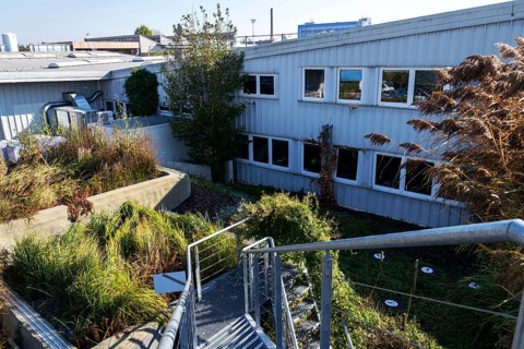 Green roof with root zone waste water treatment, exterior facade on modern building cooling with
