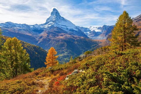 Autumn landscape near the Sunnegga with Matterhorn 4478m, Zermatt, Mattertal, Valais, Switzerland