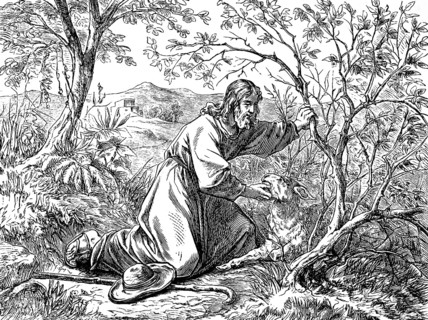 The shepherd and the lost sheep, Gospel of Luke, chapter 15, landscape, farm, forest, search, find,