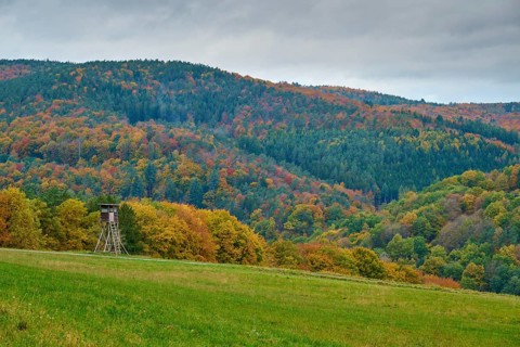 Autumn landscape with hunting pulpit, colorful forests and hills under cloudy sky, autumn,
