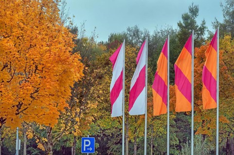 Autumn-colored maples (Acer), and colorful flags, Kempten, Swabia, Bavaria, Germany