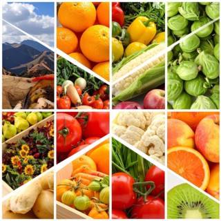 Food collage of various biological and organic fruits and vegetables, fresh healthy lifestyle, with