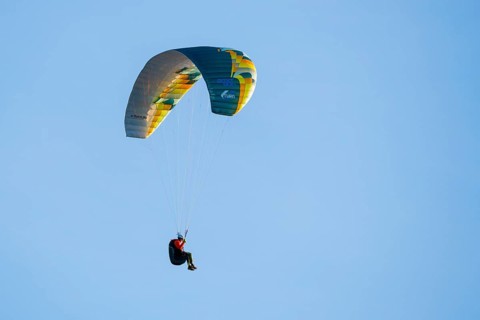 A paraglider floats under a colorful sail in clear blue sky, Schwangau, Ostallgäu, Allgäu, Swabia,