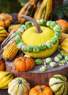 Colourful autumn still life with yellow squash decorated with a wreath of fresh Brussels sprouts