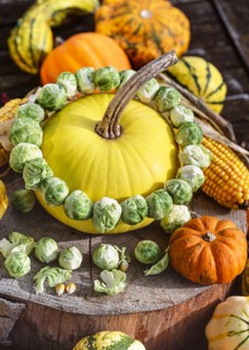 Rustic autumn still life with pumpkins, corn and a garland of Brussels sprouts adorning a yellow