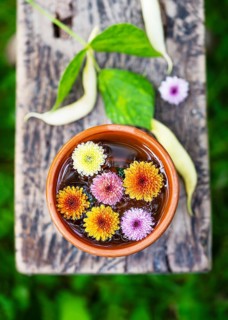 Bright chrysanthemum flowers in shades of yellow, orange and pink in a clay bowl with water. Placed