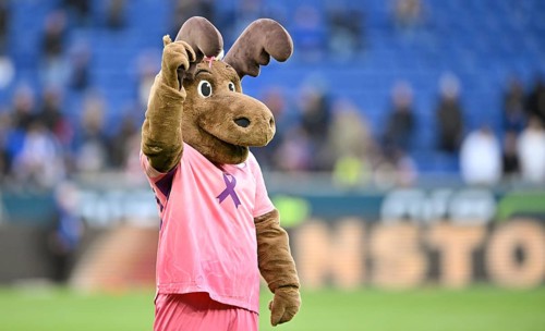 Mascot Hoffie TSG 1899 Hoffenheim in the shirt of TSG 1899 Hoffenheim, special shirt, action