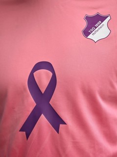 TSG 1899 Hoffenheim logo on jersey, special shirt, campaign against breast cancer, breast cancer