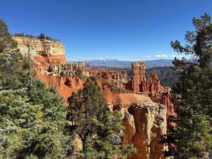 Red cliffs and thick forests stretch to the horizon under deep blue skies, Bryce Canyon National