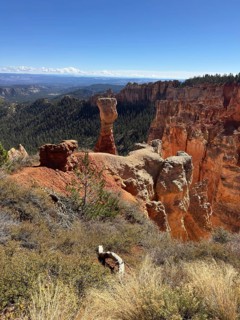 Sublime red stone pillars surrounded by green vegetation and sweeping views across the countryside,