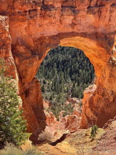 Detailed view through a red rock arch of green vegetation in the canyon, Bryce Canyon National Park