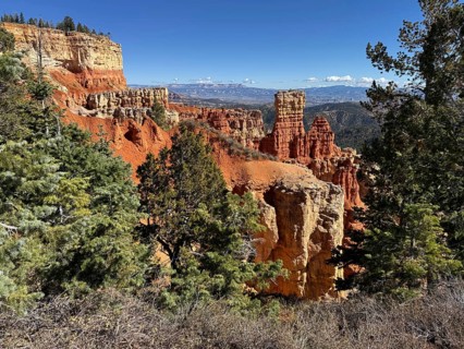 Snowy conifers and impressive red cliffs under a clear blue sky, Bryce Canyon National Park is