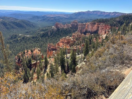 Red rock canyon with pine trees stretching out in nature under a clear sky, Bryce Canyon National