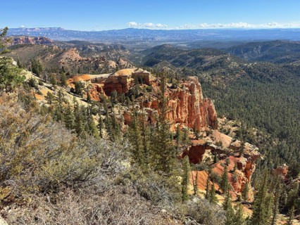 Expansive view of rocky desert landscape with forests and impressive orange sandstone rock