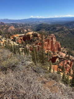 Expansive view of rocky desert landscape with forests and impressive orange sandstone rock