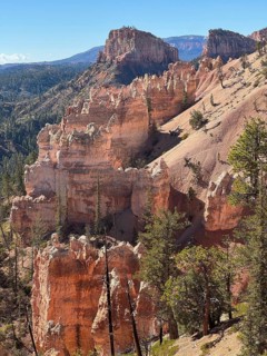 Dramatic rock formations of orange sandstone with pine trees in a vast desert landscape, Bryce