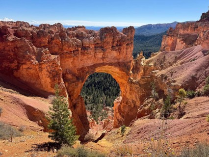 Fascinating red rock arch with surrounding pine trees in the daylight of a canyon, Bryce Canyon