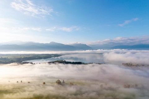 Morning atmosphere with clouds of fog over a pasture landscape and Forggensee near Roßhaupten,