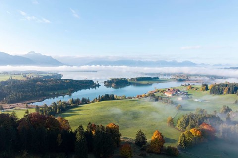 View of picturesque Forggensee surrounded by autumn trees, near Roßhaupten, Ostallgäu, Allgäu,