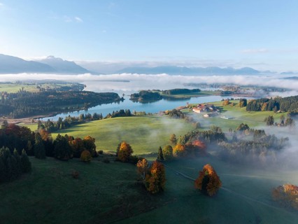 Early autumn morning landscape with idyllic Forggensee and picturesque hills surrounded by fog,