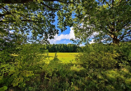 Cultural landscape, Sonnenberg municipality, Oberhavel district, Brandenburg, Germany