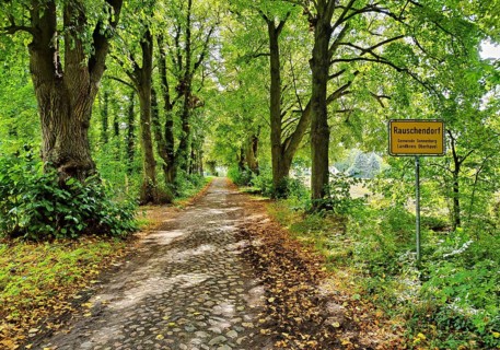 Kastanienallee with cobblestones, Rauschendorf district of the municipality of Sonnenberg,