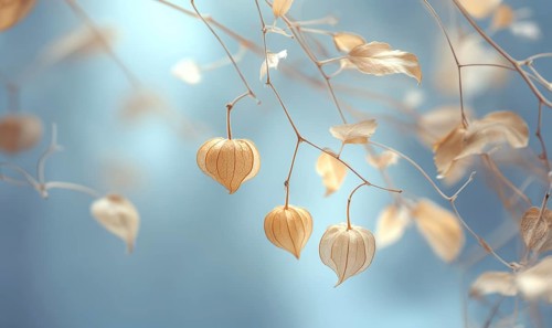 A branch with three yellow flowers and a blue sky in the background. The flowers are wilted and the