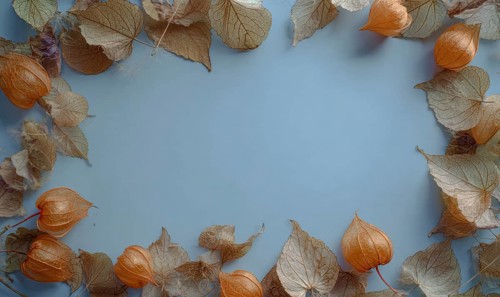 A blue background with a frame of orange leaves. The leaves are scattered around the frame,