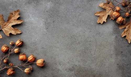 A grey background with a few leaves and some small orange fruits. The leaves are scattered around