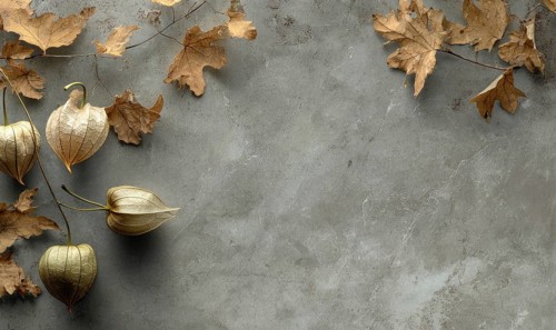 A grey background with a bunch of leaves on it. The leaves are brown and scattered around the