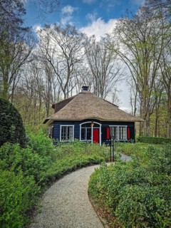 A winding paved path slopes down through the forest leading towards a rustic house nestled in the