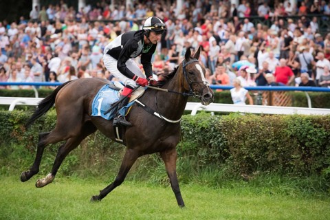 WROCLAW, POLAND - SEPTEMBER 4, 2016: Horse racing - Grand Wroclawska Prize Airport Wroclaw. In
