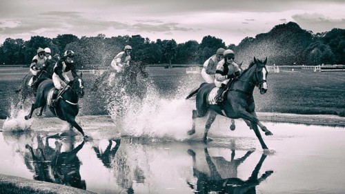 WROCLAW, POLAND - SEPTEMBER 4, 2016: Horse racing - Grand Wroclawska Prize Airport Wroclaw. Leads M