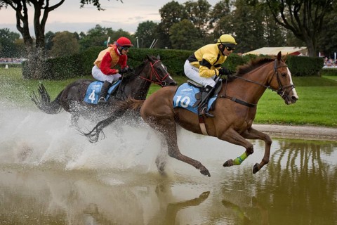 WROCLAW, POLAND - SEPTEMBER 4, 2016: Horse racing - Grand Wroclawska Prize Airport Wroclaw. In