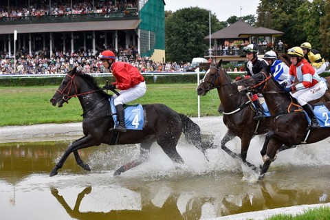 WROCLAW, POLAND - SEPTEMBER 4, 2016: Horse racing - Grand Wroclawska Prize Airport Wroclaw. Leads N