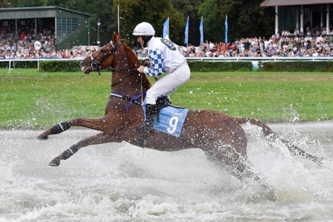 WROCLAW, POLAND - SEPTEMBER 4, 2016: Horse racing - Grand Wroclawska Prize Airport Wroclaw. In