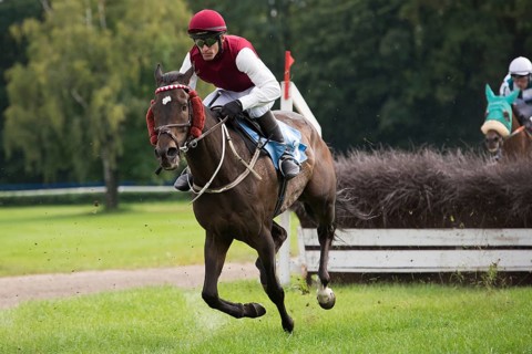 WROCLAW, POLAND - SEPTEMBER 4, 2016: Horse racing Grand Partynicka at Racecourse WTWK Partynice. In