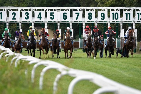 WROCLAW, POLAND - SEPTEMBER 4, 2016: Race for the 3-year and older horses Group IV Racecourse WTWK