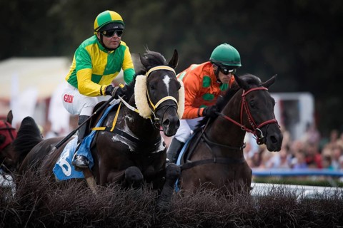 WROCLAW, POLAND - SEPTEMBER 4, 2016: Race for the 3-year and older horses Group IV at Racecourse