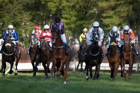 WROCLAW, POLAND - APRIL 24, 2016: Race with fences for 4-year old horses a Racecourse WTWK