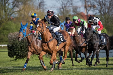 WROCLAW, POLAND - APRIL 24, 2016: International steeplechase for 5-year old and oldest horses at