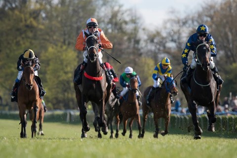 WROCLAW, POLAND - APRIL 24, 2016: International race for 3-year-old horses Group III at Racecourse