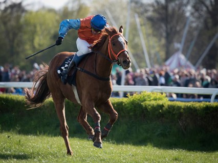 WROCLAW, POLAND - APRIL 24, 2016: International steeplechase for 4-year old horses at Racecourse