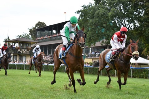 WROCLAW, POLAND - SEPTEMBER 4, 2016: Race for the 3-year and older horses Group IV Racecourse WTWK