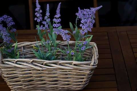 Wicker basket with decorative lavender bouquet on a wooden table in the garden