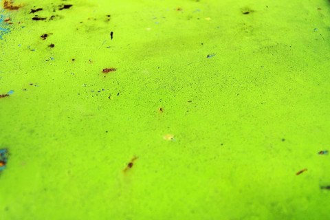 Green rusty metal background, Prague, Czech republic