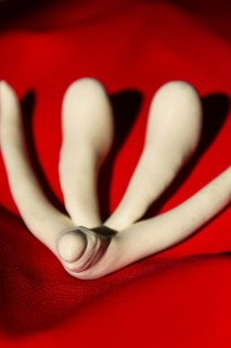 3d printed female sex organ clitoris for human anatomy lessons