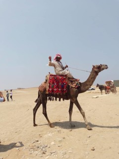 A photogenic Bedouin on a camel poses for tourists near the Great Pyramids of Giza, in the sands of