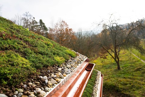 Wooden house with extensive green living roof covered with vegetation Liberec Czech republic