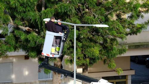 Two unrecognizable utility workers operate hydraulic lift to repair street light in residential